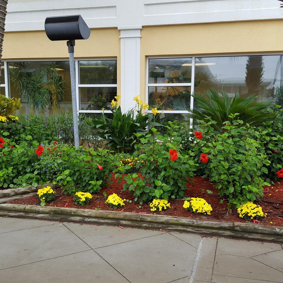 Bermuda Sands On The Boardwalk Myrtle Beach Exterior foto